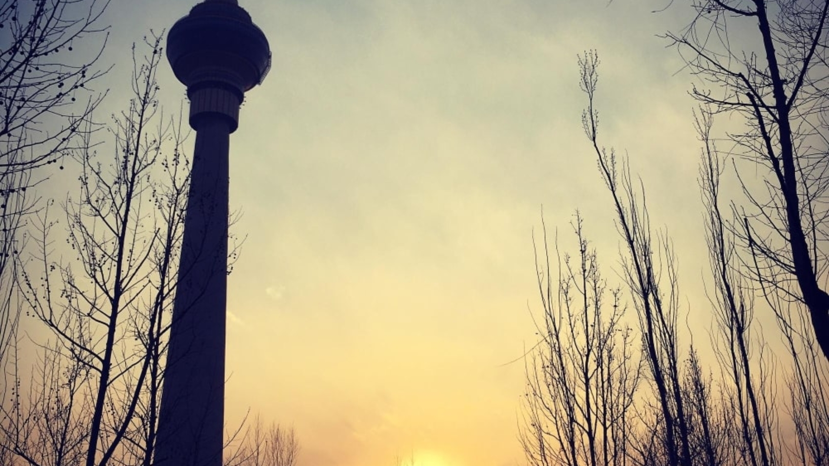 samad-blog-62-min